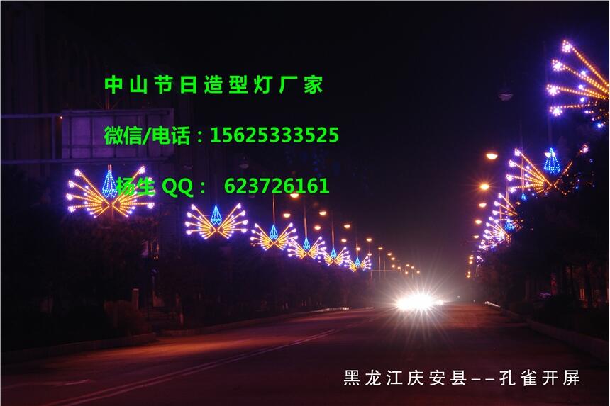 供應(yīng)內(nèi)蒙古路燈彩燈 燈桿彩燈