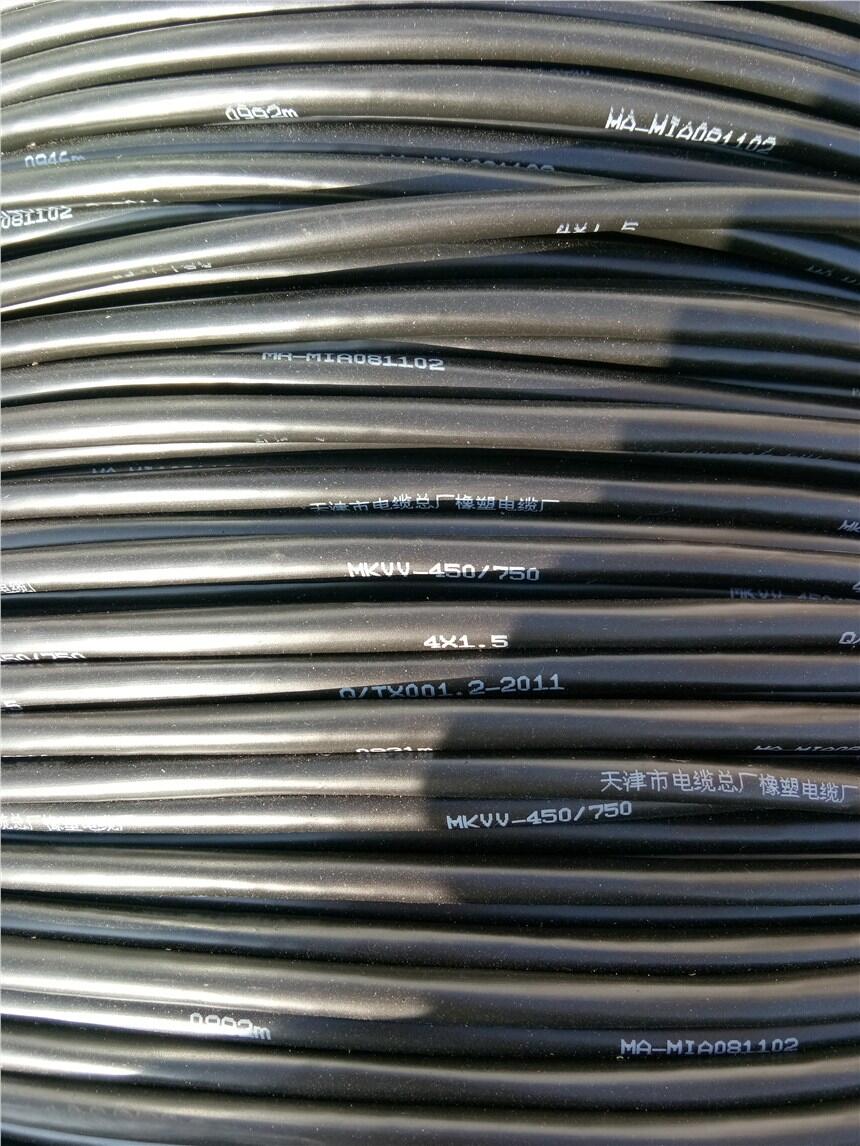 DJYVP  屏蔽計(jì)算機(jī)電纜 保電阻