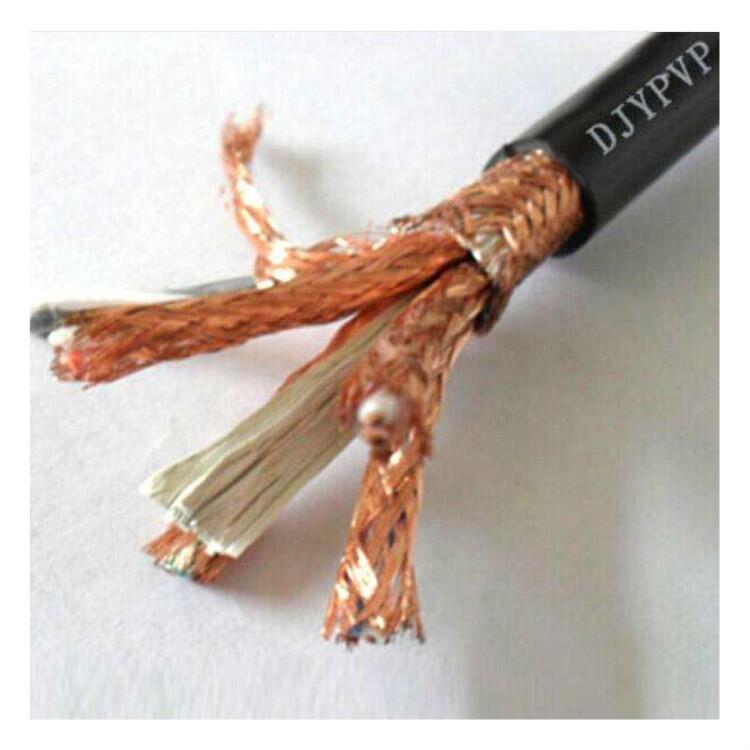 ZR-DJYPVP阻燃計(jì)算機(jī)屏蔽電纜