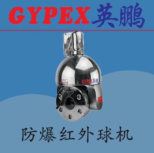 利勃防爆型攝像機，新疆防爆攝像機