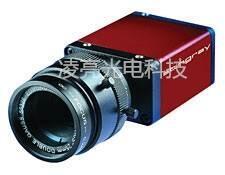 AVT Stingray F-125B F-125C I(y)C(j)