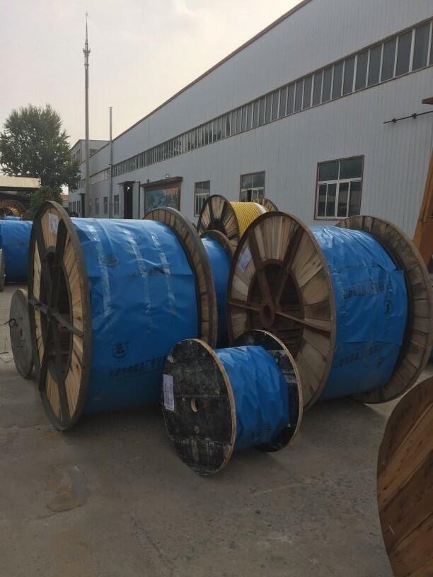 鐵路信號(hào)電纜PTY2219芯10000米工期