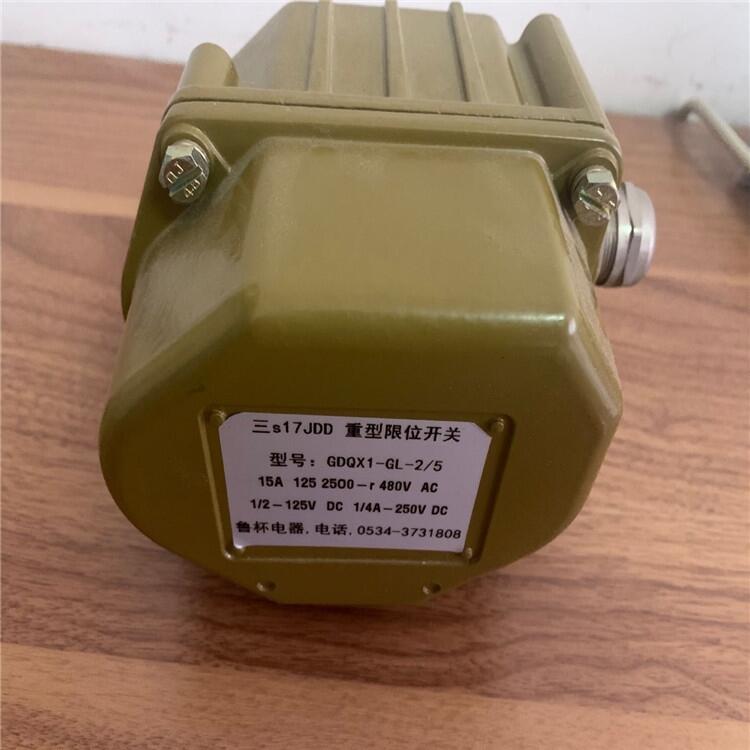 GDQX1-GL-2/5重型限位開(kāi)關(guān)保護(hù)開(kāi)關(guān)不受損壞德慶