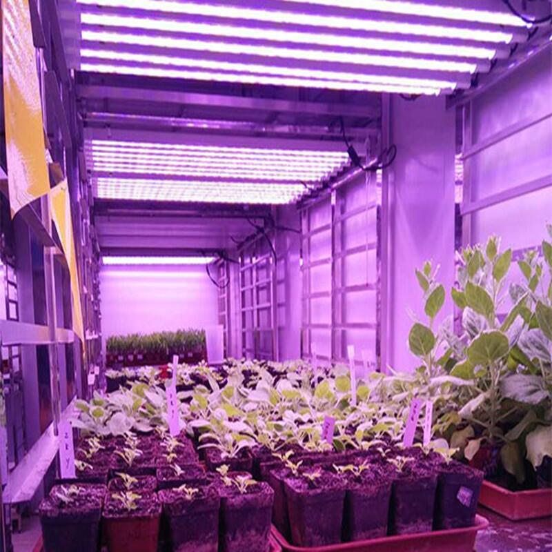 深圳植物燈廠家批發(fā)多肉補(bǔ)光燈 紅藍(lán)配比植物燈管 蔬菜瓜果生長燈 草莓補(bǔ)光燈