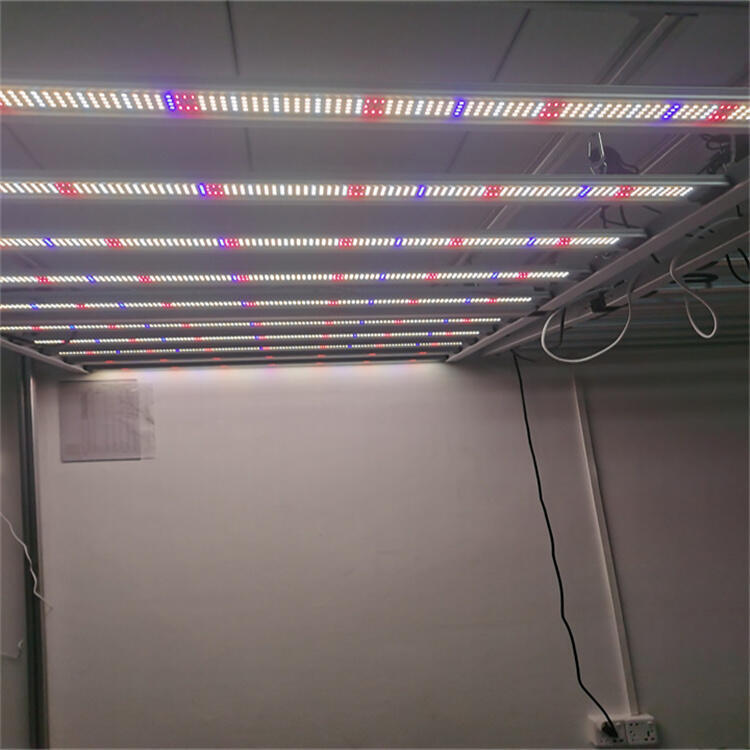 led植物生長燈 出口美國溫室植物補光燈 大棚植物生長燈 800W藥材種植燈