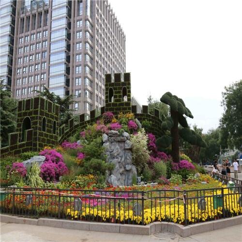 石家莊無土栽培哪家好