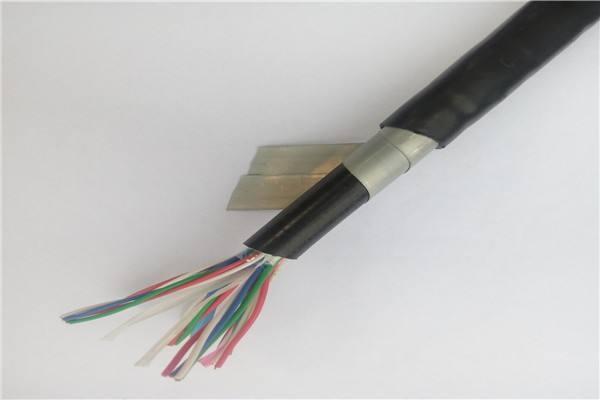 WDZN-DJYP2VP2-22電纜技術(shù)說明