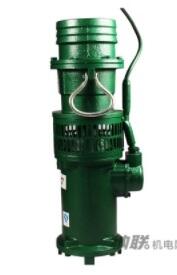 納聯(lián)機電QY油浸泵