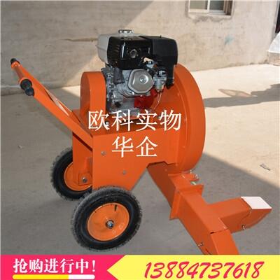 強(qiáng)力風(fēng)機(jī)園林路面機(jī)園林工程樹葉吹風(fēng)機(jī)