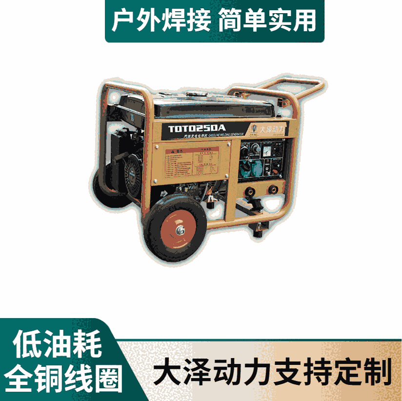 大澤動力便攜式190A汽油發(fā)電電焊機(jī)