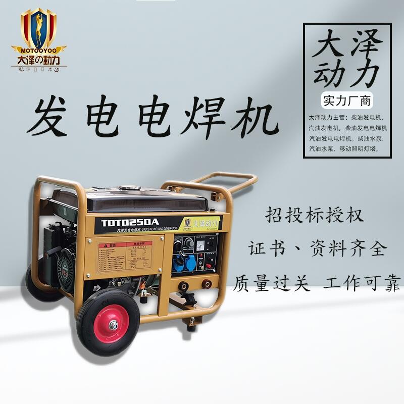 大澤動力190A自動化汽油發(fā)電焊機