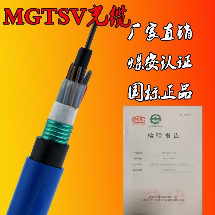 MGTSVù| ꖹ|S úJ(rn)C¾ȼ|