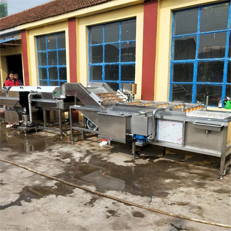 專業(yè)生產(chǎn)各種葡萄清洗機(jī)，枸杞沙棘果鼓泡清洗機(jī)