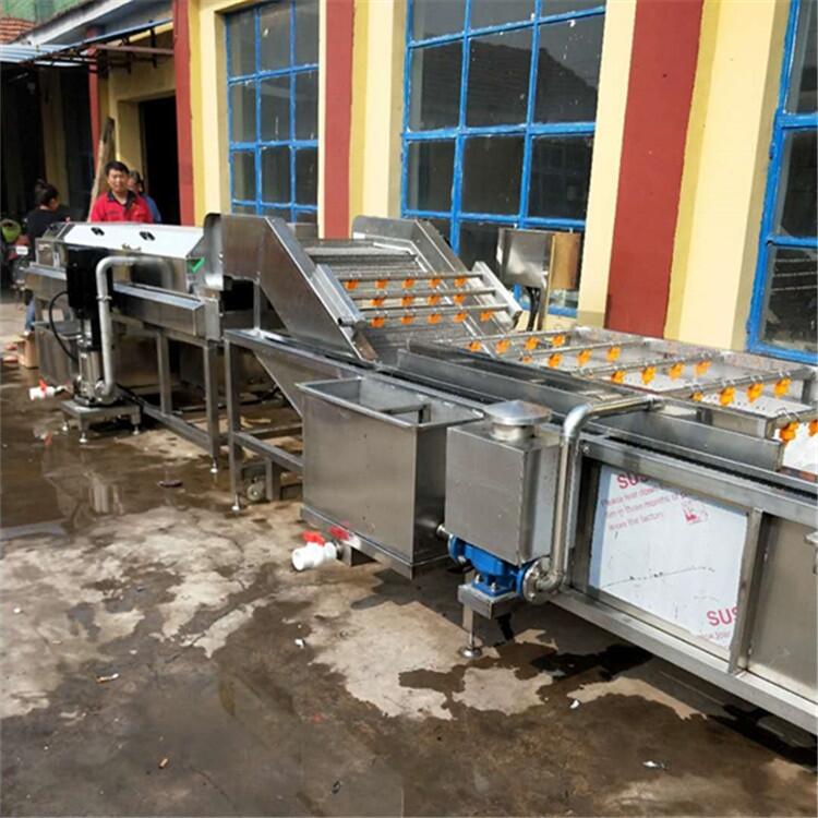 干辣椒專用清洗機 翻浪式大姜清洗機