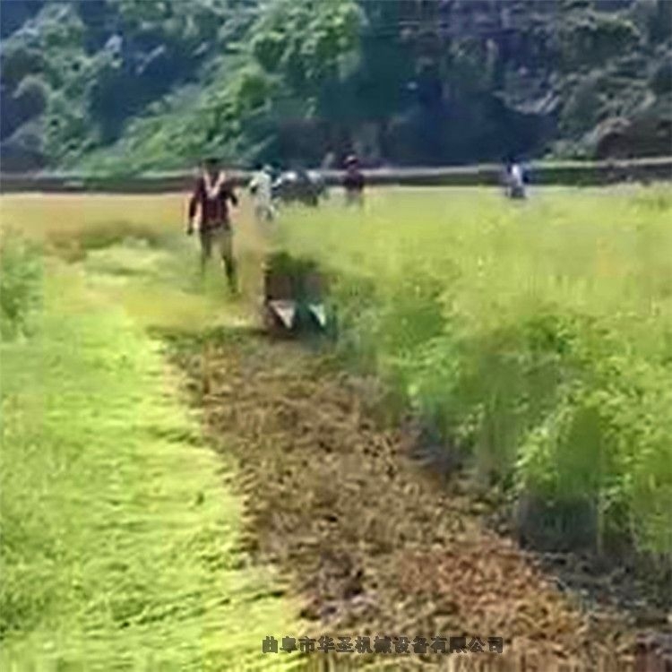 河北低茬輕便割草機(jī)好用收割機(jī)靈活轉(zhuǎn)向芝割曬機(jī)手扶式手