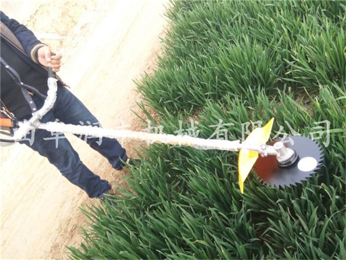 手推式割草打草機(jī)  便攜式電動(dòng)割草機(jī)  小型割草機(jī)
