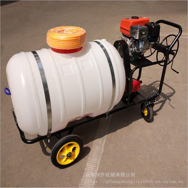 手推式大容量遠(yuǎn)射程噴霧器 養(yǎng)殖場(chǎng)消毒打藥機(jī) 拉管式噴霧器