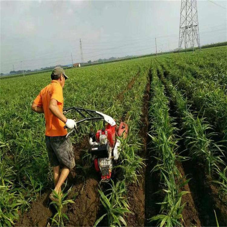 新聞:香洲小型柴油微耕機(jī)保質(zhì)保量