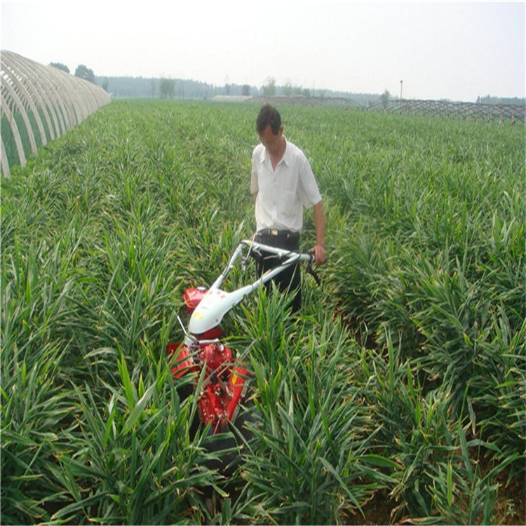 新聞:泗縣多功能松土機(jī)廠家