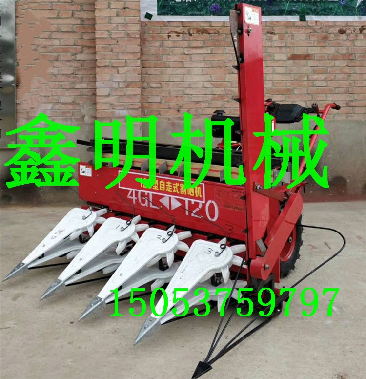 ׸UߗUոC ݆ǰøC ʽոC ݸCr