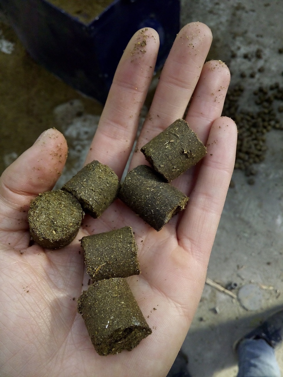 秸稈燃料顆粒機炭粉成型機 源頭廠家