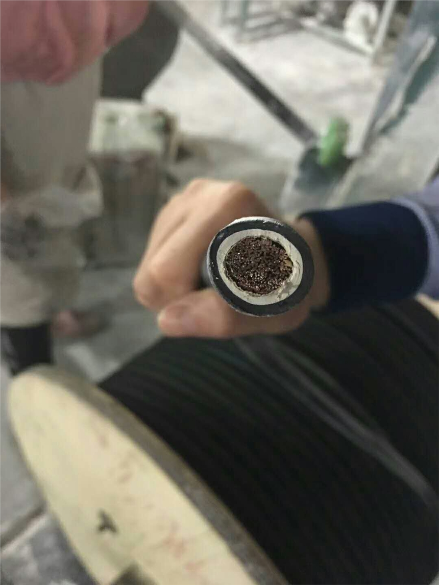 長峰供應(yīng)變頻電纜BPYJVP廠家直銷