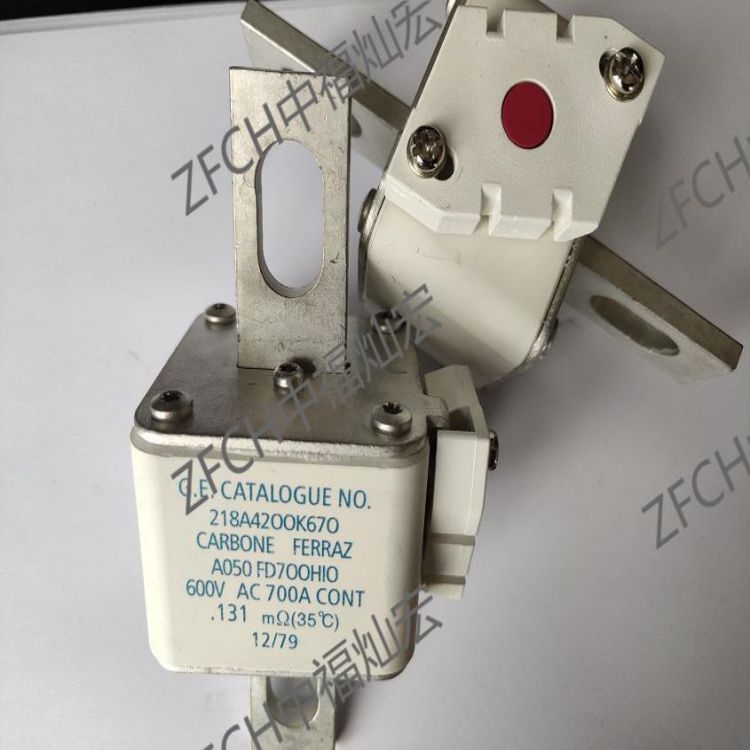 法國羅蘭Ferraz熔斷器A070UD31KI800 A070UD31LLI160