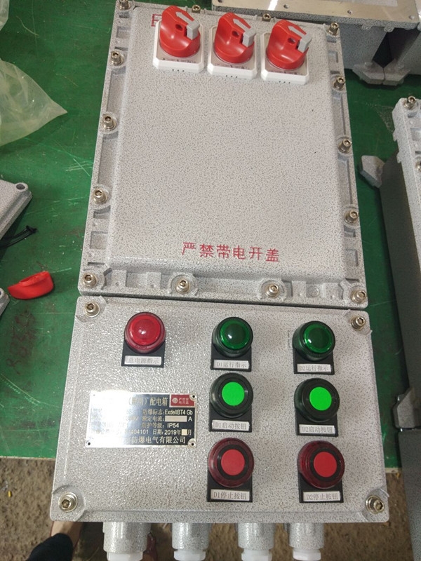 樂清潤發(fā)防爆照明動(dòng)力配電箱廠家  非標(biāo)定制