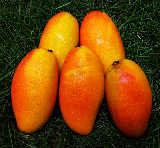 Ĵ֦tFâa(chn)һ؛Դһl(f)k