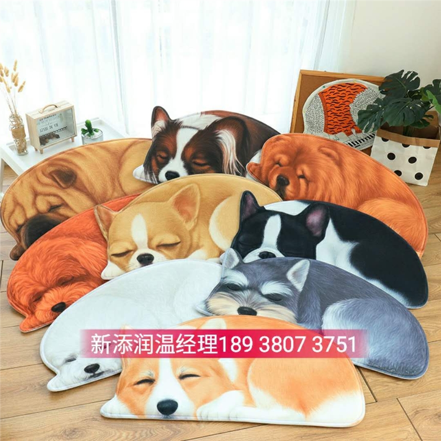 理光G5地毯打印機(jī)價(jià)格要多少