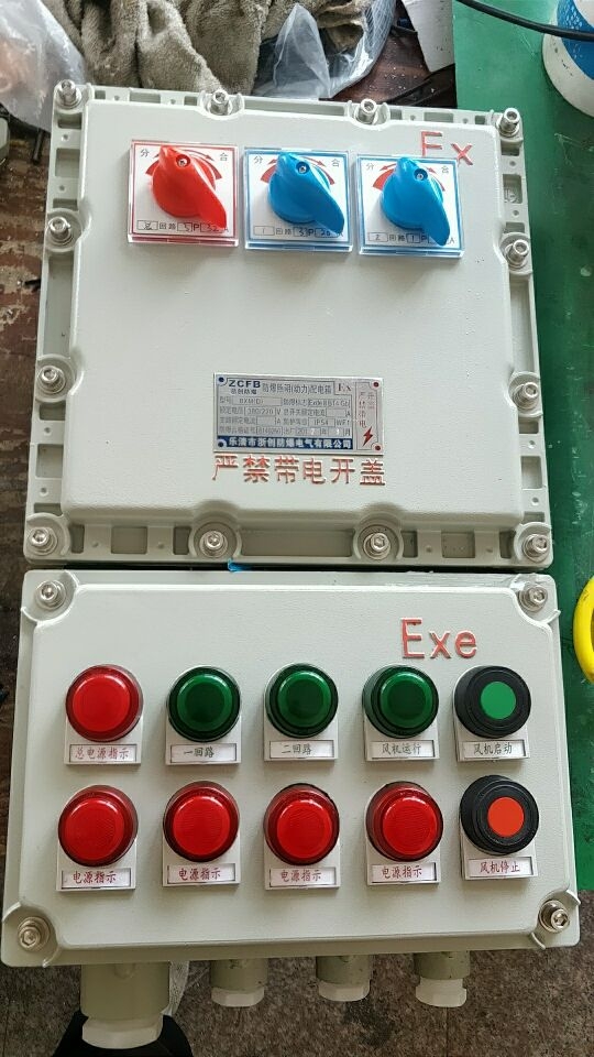 防爆時控應(yīng)急照明配電箱
