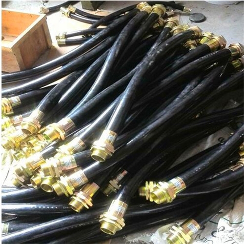 BNG-700*G11/4防爆撓性連接管