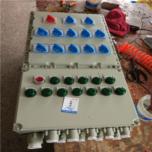 BXD51-2/k/20防爆開(kāi)關(guān)箱