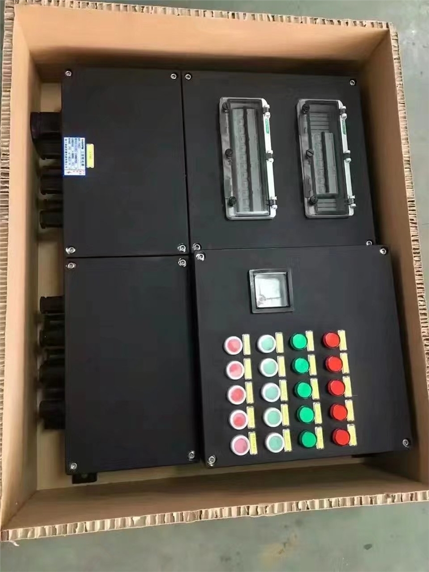 BXD8050-T9/25K100防爆防腐動力配電箱