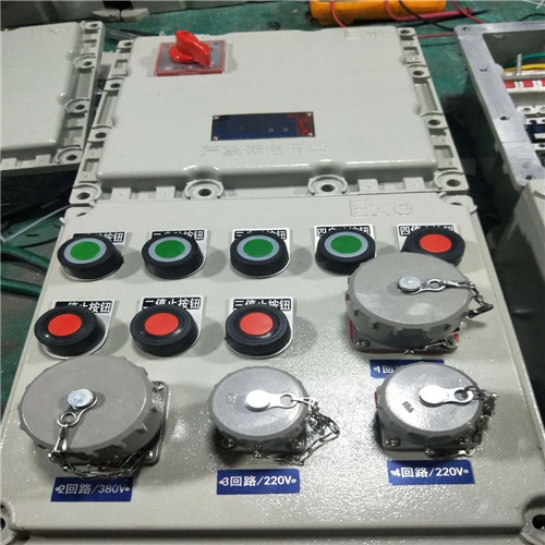 BXX52-5/K32防爆配電檢修箱