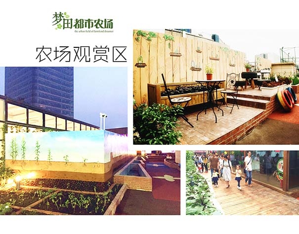 重慶親子農(nóng)場(chǎng)建設(shè),親子農(nóng)場(chǎng)