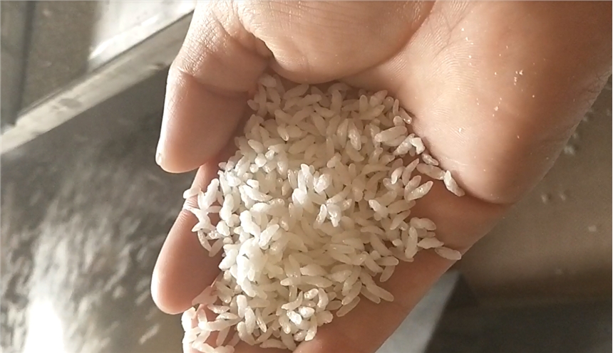 生產廠家供應康來牌KL-01型微波核桃粉殺菌設備