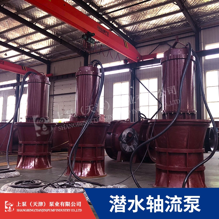 湖南總經(jīng)銷800QZB-50潛水軸流泵廠家直供機電排灌