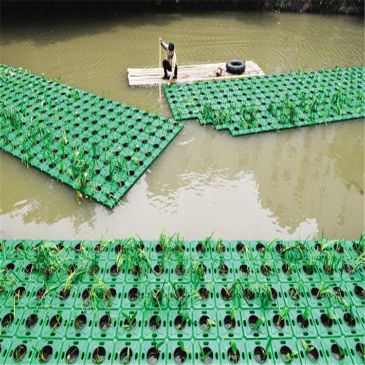 巫溪縣水生植物種植花盆水面浮島每套多少錢