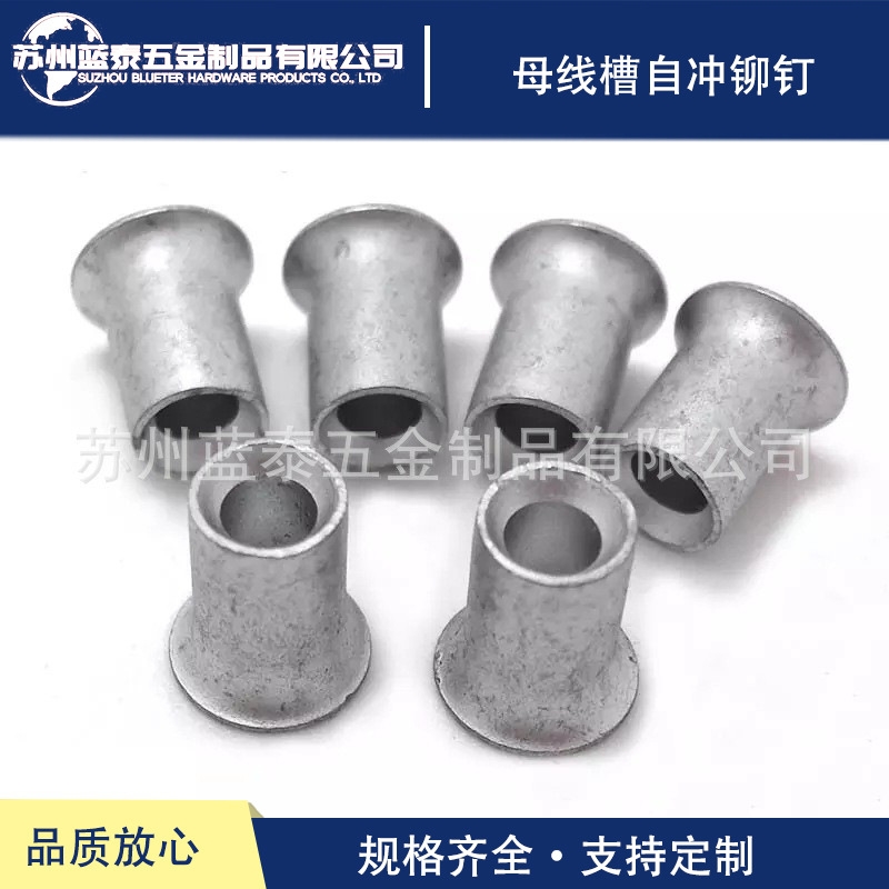 廠家自銷(xiāo)母線槽自沖鉚釘 液壓自穿刺鉚釘 5.4*5 6 7 8帶母線配件