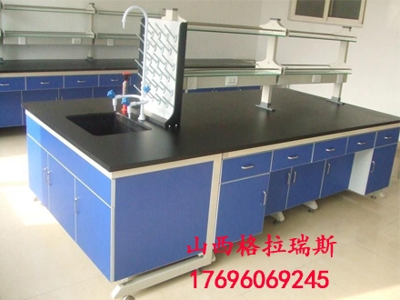 生產(chǎn)銷售安裝北京實(shí)驗(yàn)邊臺中央實(shí)驗(yàn)臺儀器臺檢測臺