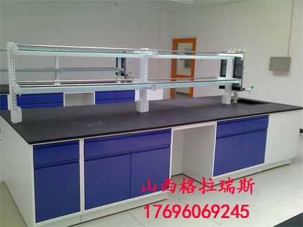 山西長治廠家定制實驗臺 實驗室工作臺 實驗室操作臺 生物化學(xué)實驗臺