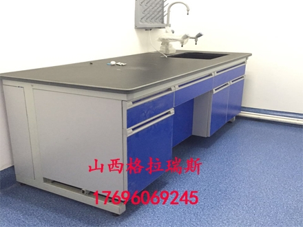 批發(fā)生產(chǎn)北京鋼木實驗臺全鋼實驗臺通風柜通風櫥