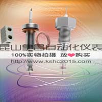 鍋爐電極棒RDJ水位電極
