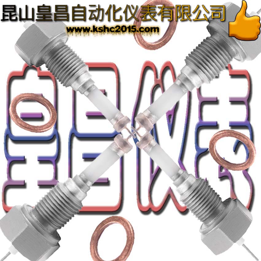 DJM16水位電極DSW-1高壓電極