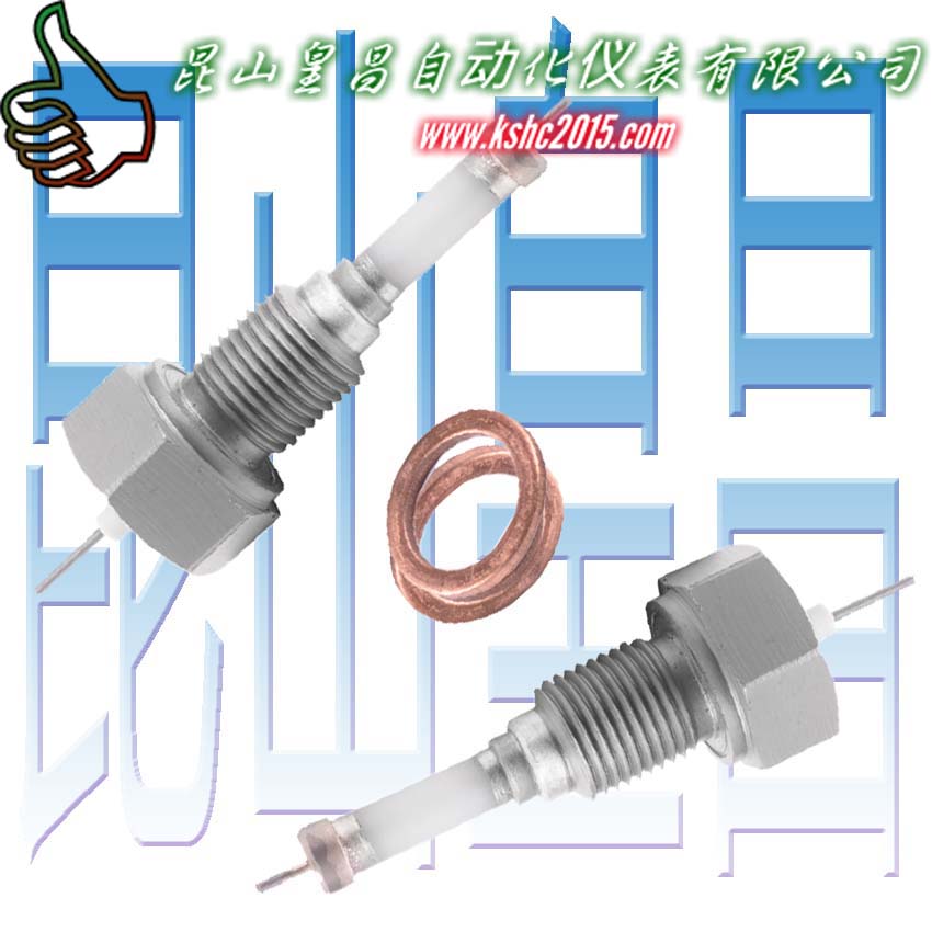 RDJ水位電極DSW-2鍋爐電極