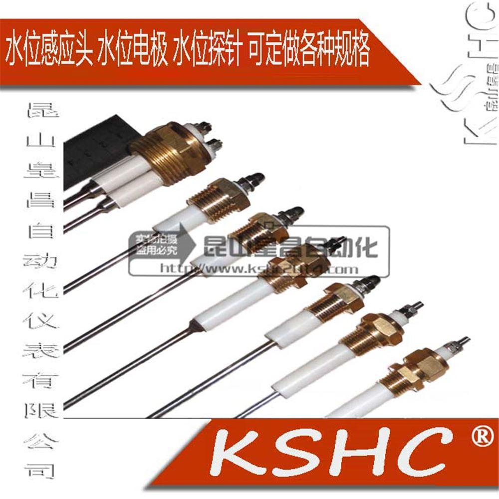 中壓電極汽包水位電極