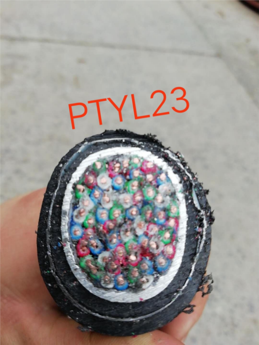PTYA22型音頻信號電纜KVVRP軟芯控制電纜