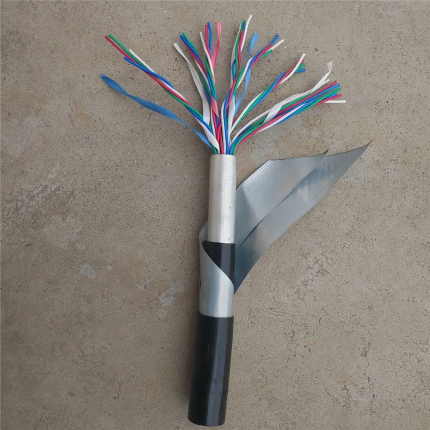 天聯(lián)牌天聯(lián)電纜PTYA23鐵路信號(hào)電纜PTYA