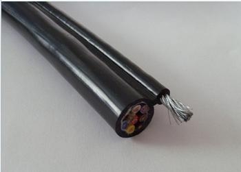 ZR-DJYPVP-2*2*1.0計算機電纜